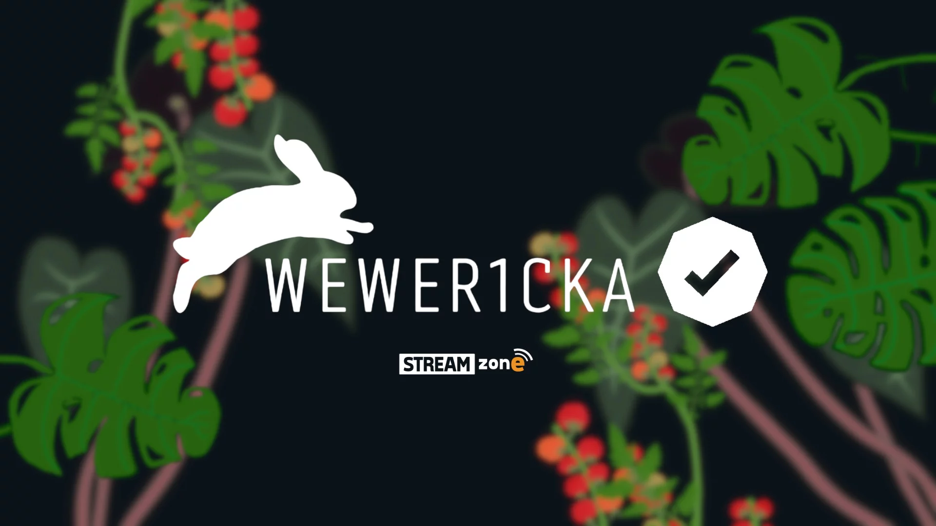 Weweričky – partneři Twitche!